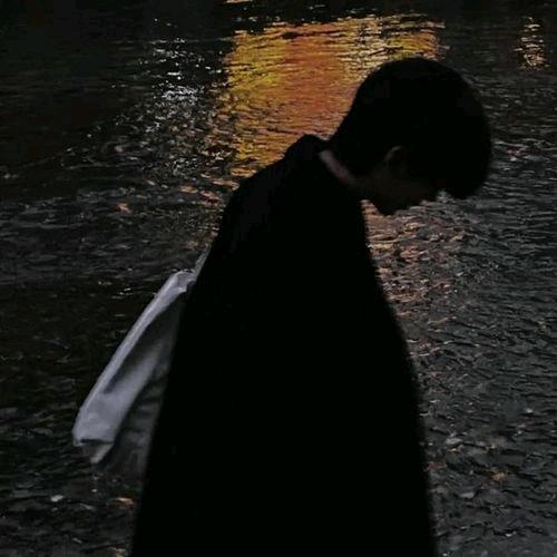 人生若只如初见