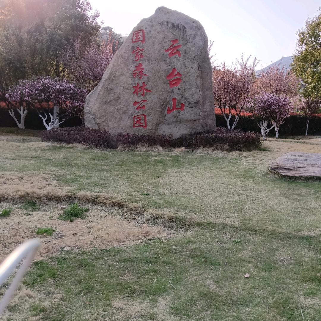 好日子