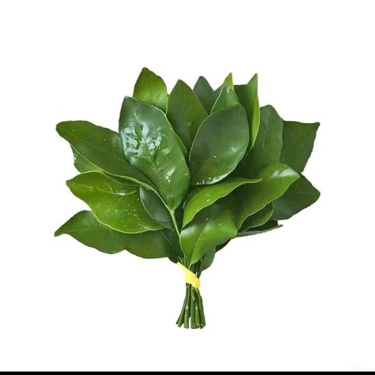 幸福像花儿一样盛开