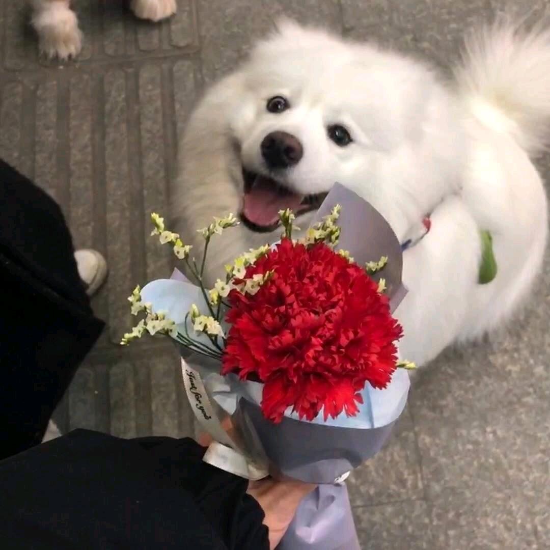 星期日不上发条i