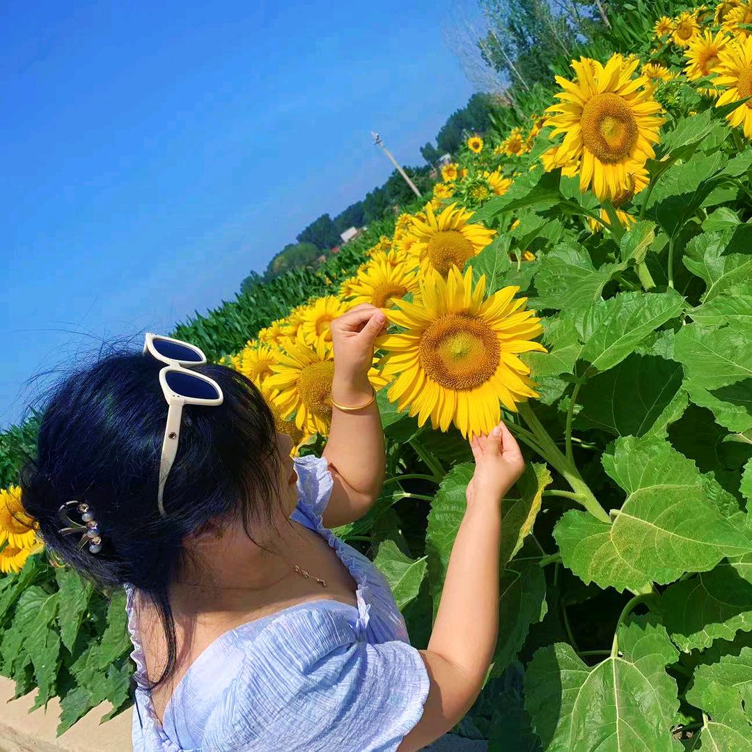 娇娇@jiao