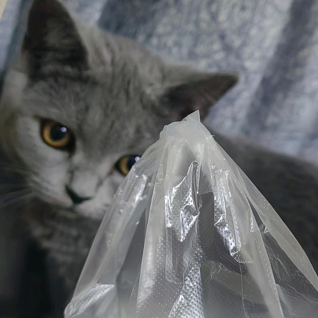 吃🥢