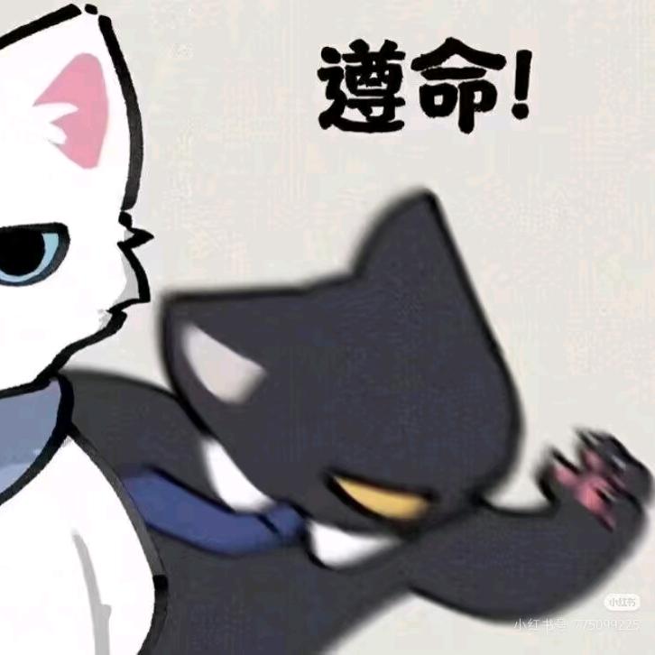 佳期如梦又似水