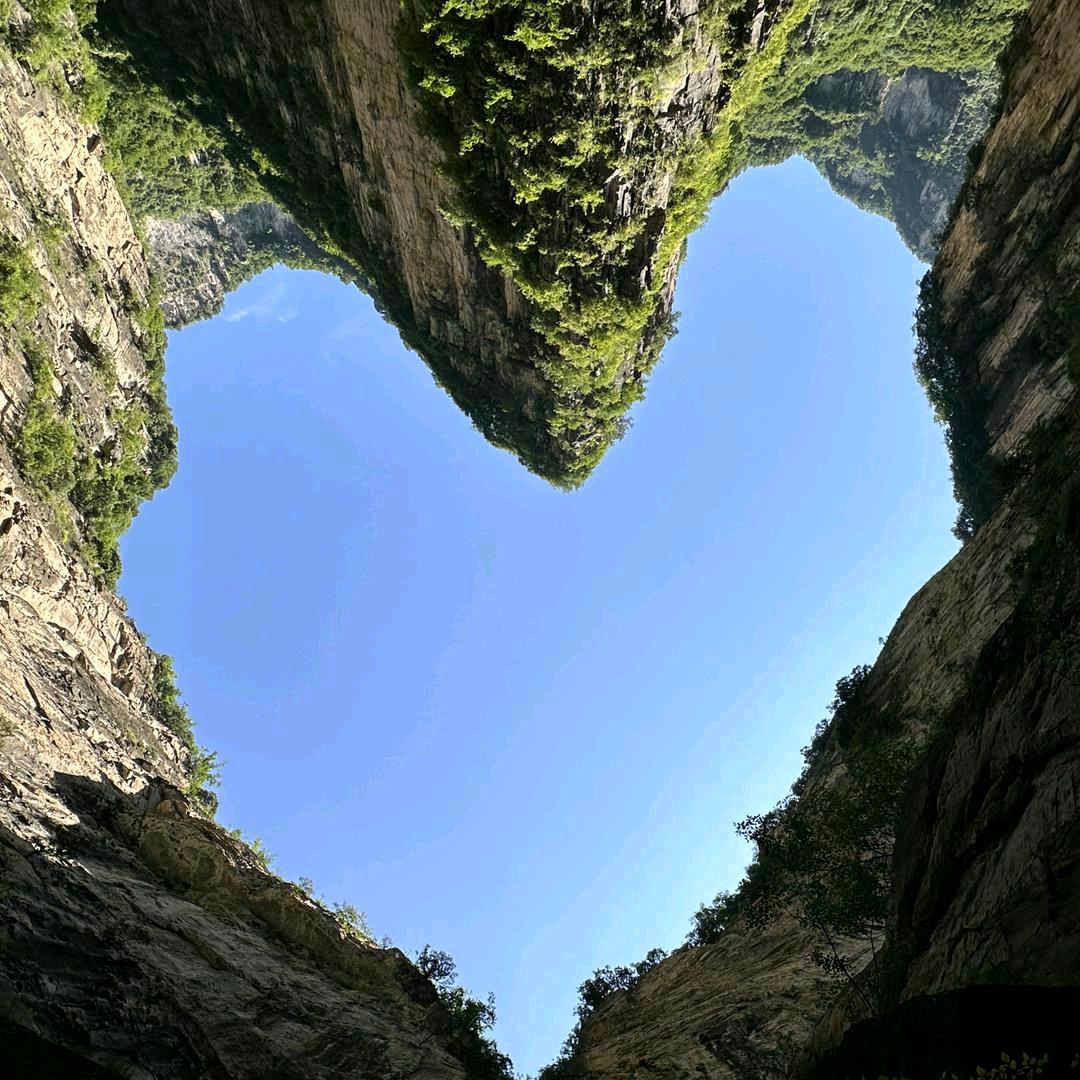 黑土（释然）