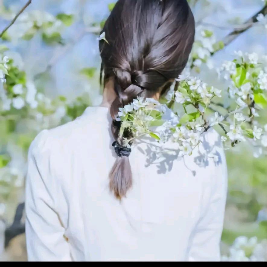 落雪飞花