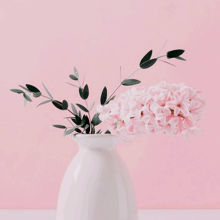 芷若初心（冷月）