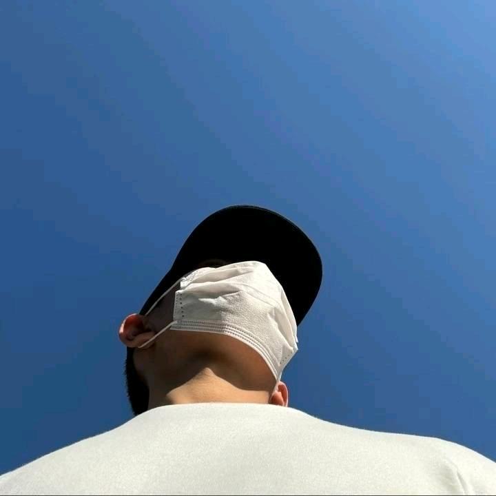 照海