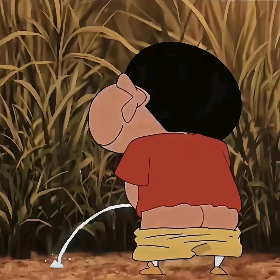 骑老奶奶闯红灯