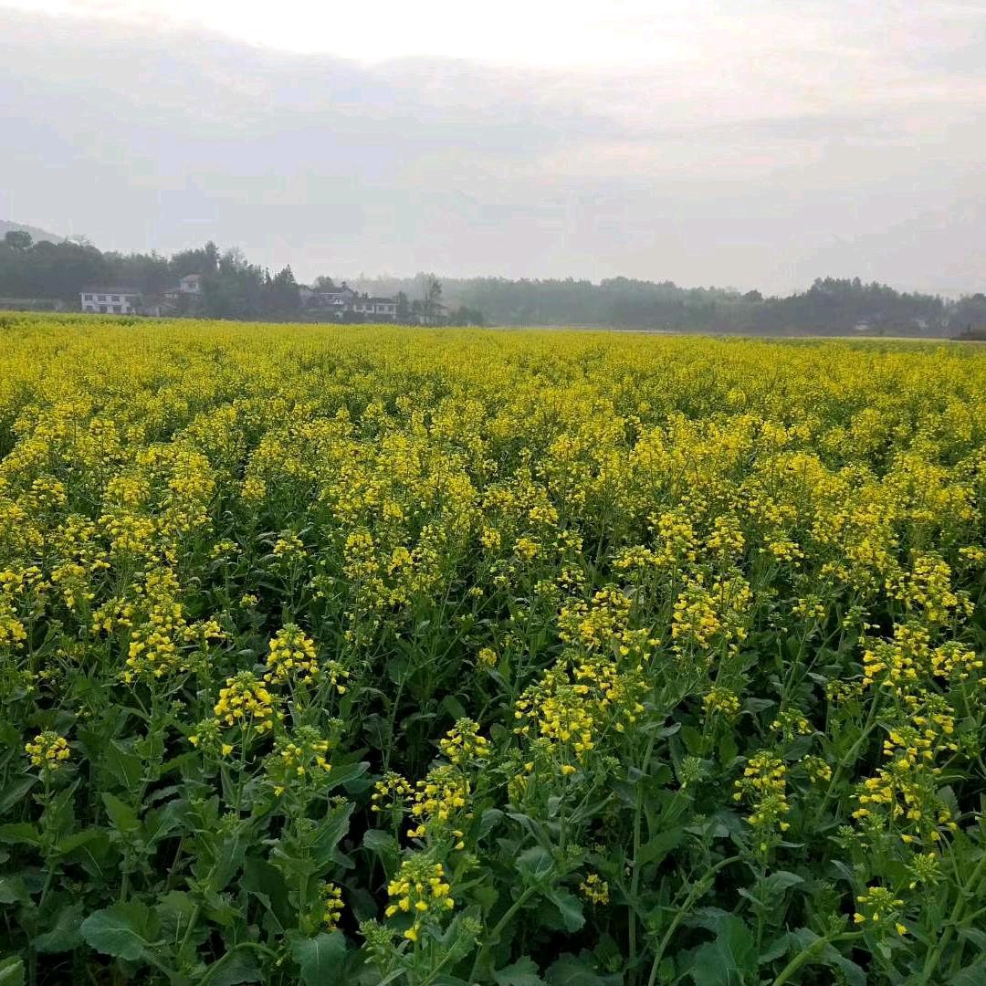 忘记过去(拒绝私聊)
