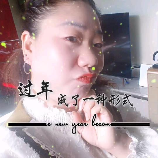 笨猪
