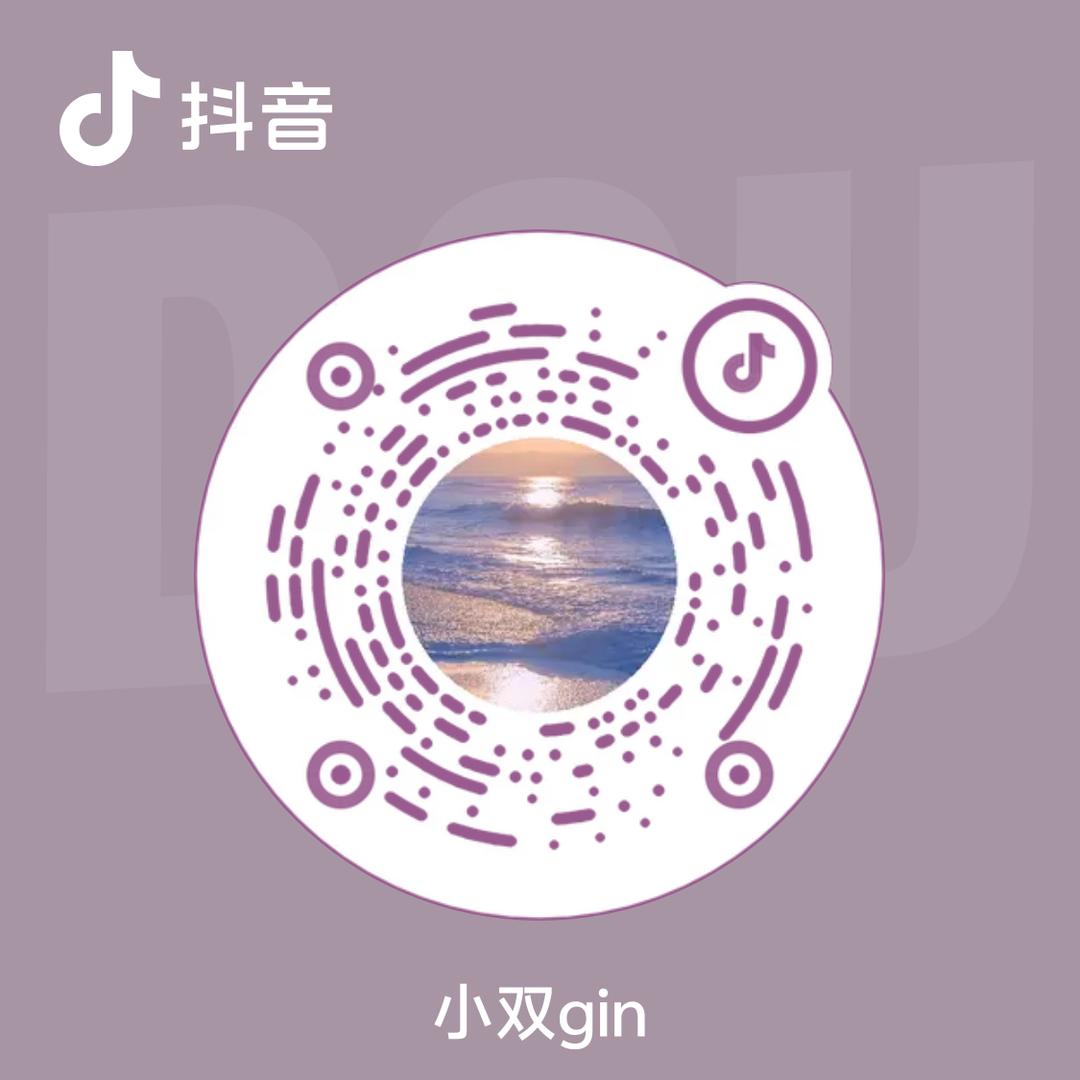 小双gin
