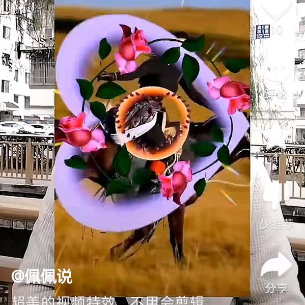 走南闯北