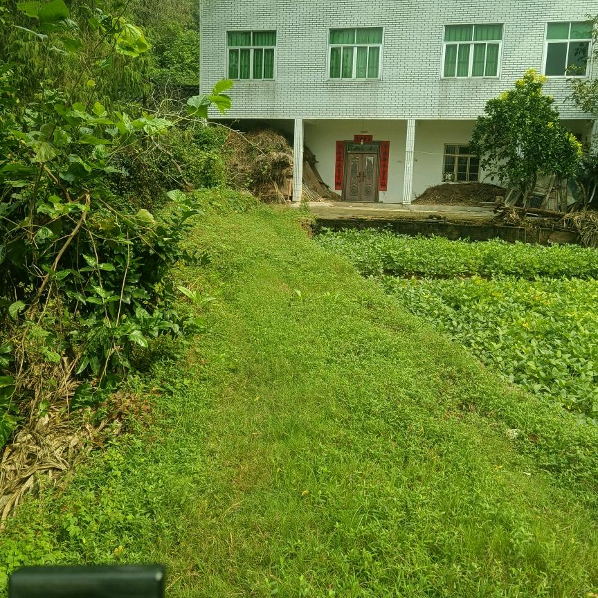 平平淡淡