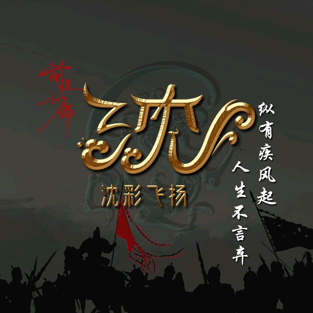 沈  彩  飞  扬