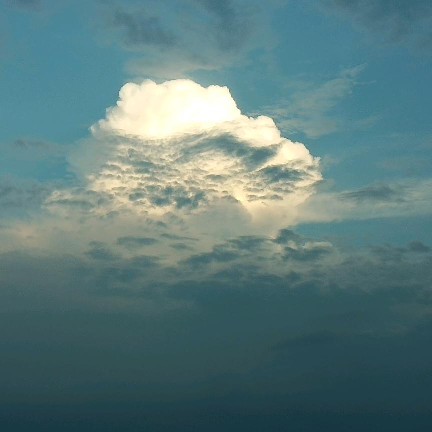 人生过半学会看淡