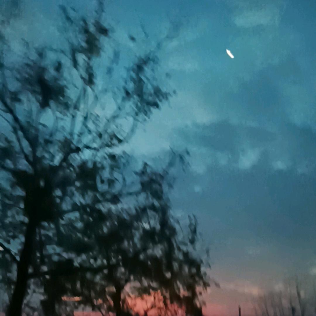 唯美🌹🌹永恒