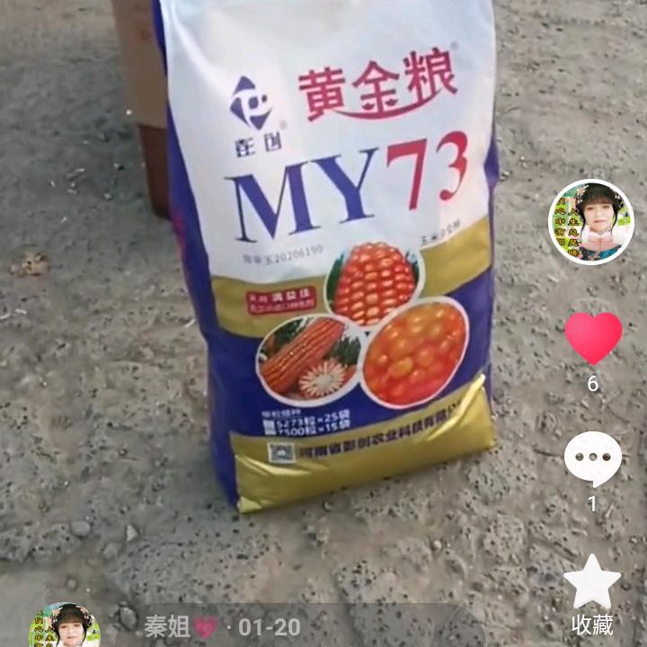 秦姐💗