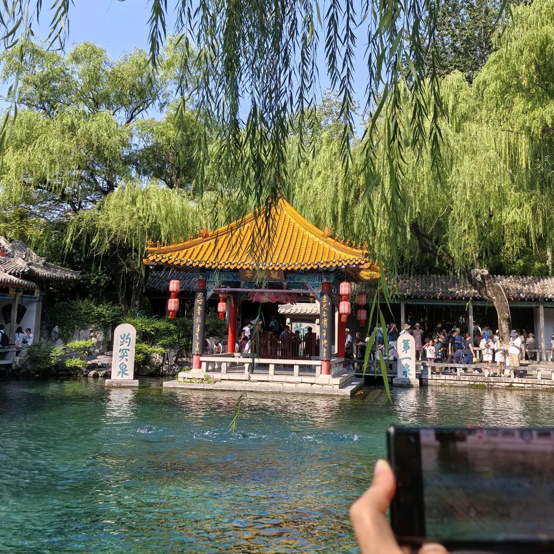 婷宝