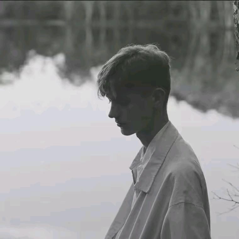 ：🍃