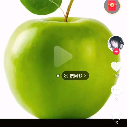 一片大雁
