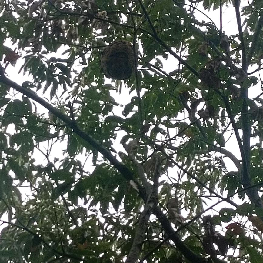 莲子奶奶💕🍒🍎