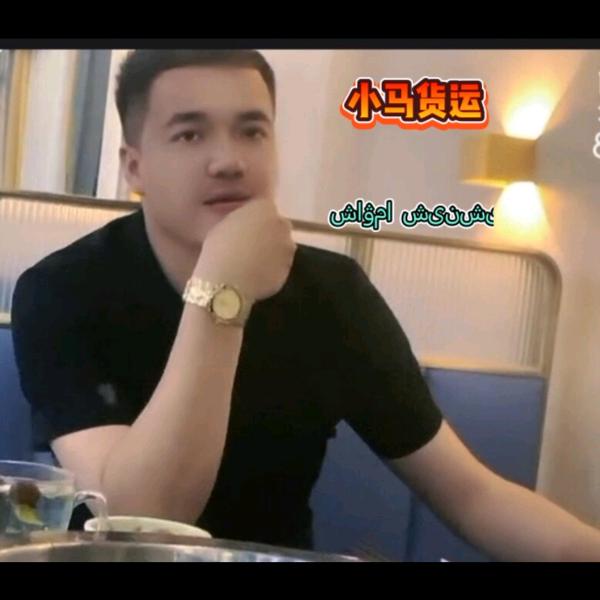 新疆小马货运物流公司！玉米~小麦/煤末！