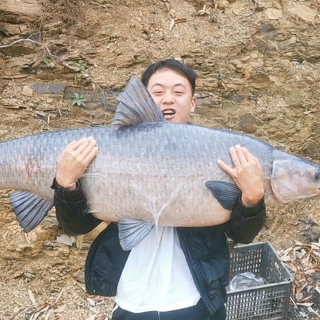 游钓小颜🎣