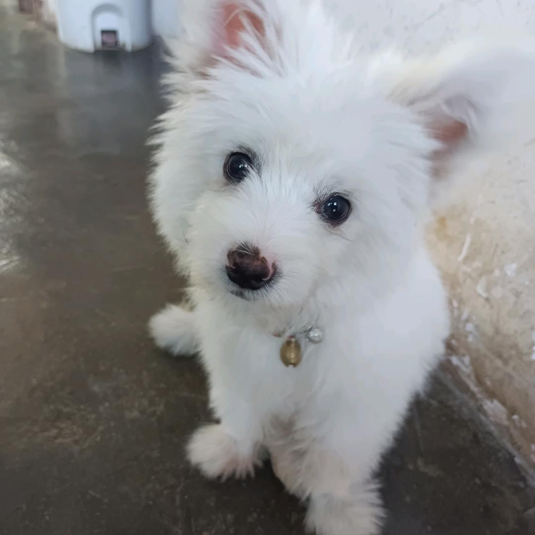 鑫缘兄妹文化传媒