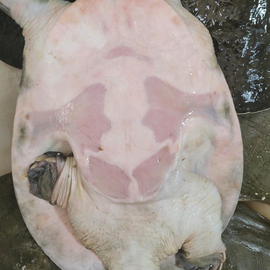 良友逸品生态农业