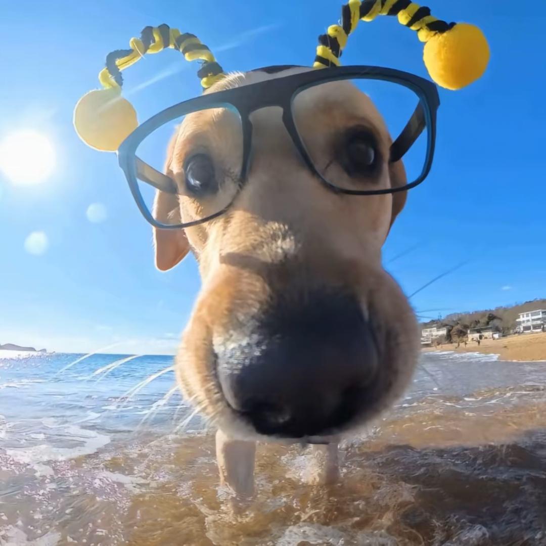 燃烧吧梦想 burn you dream