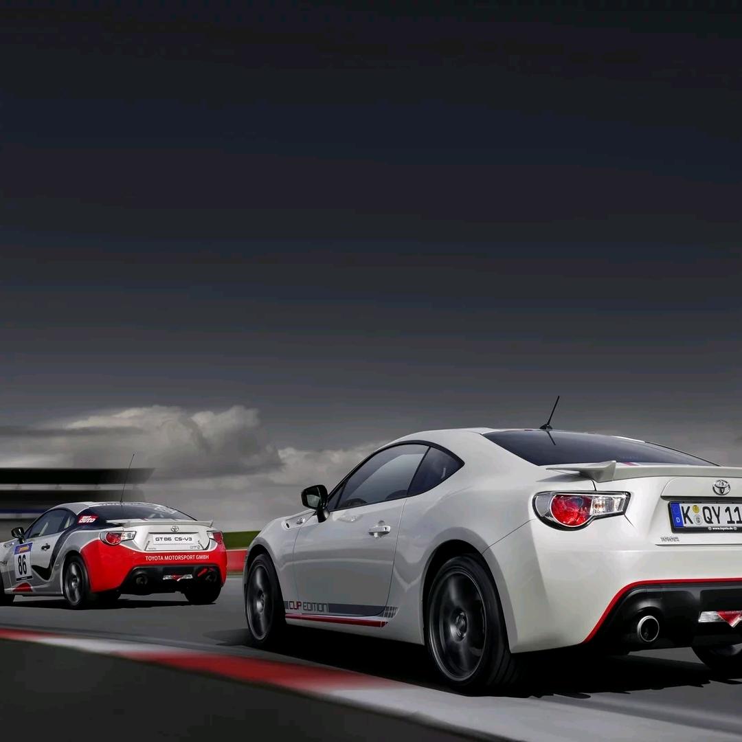 爱健身的男孩子