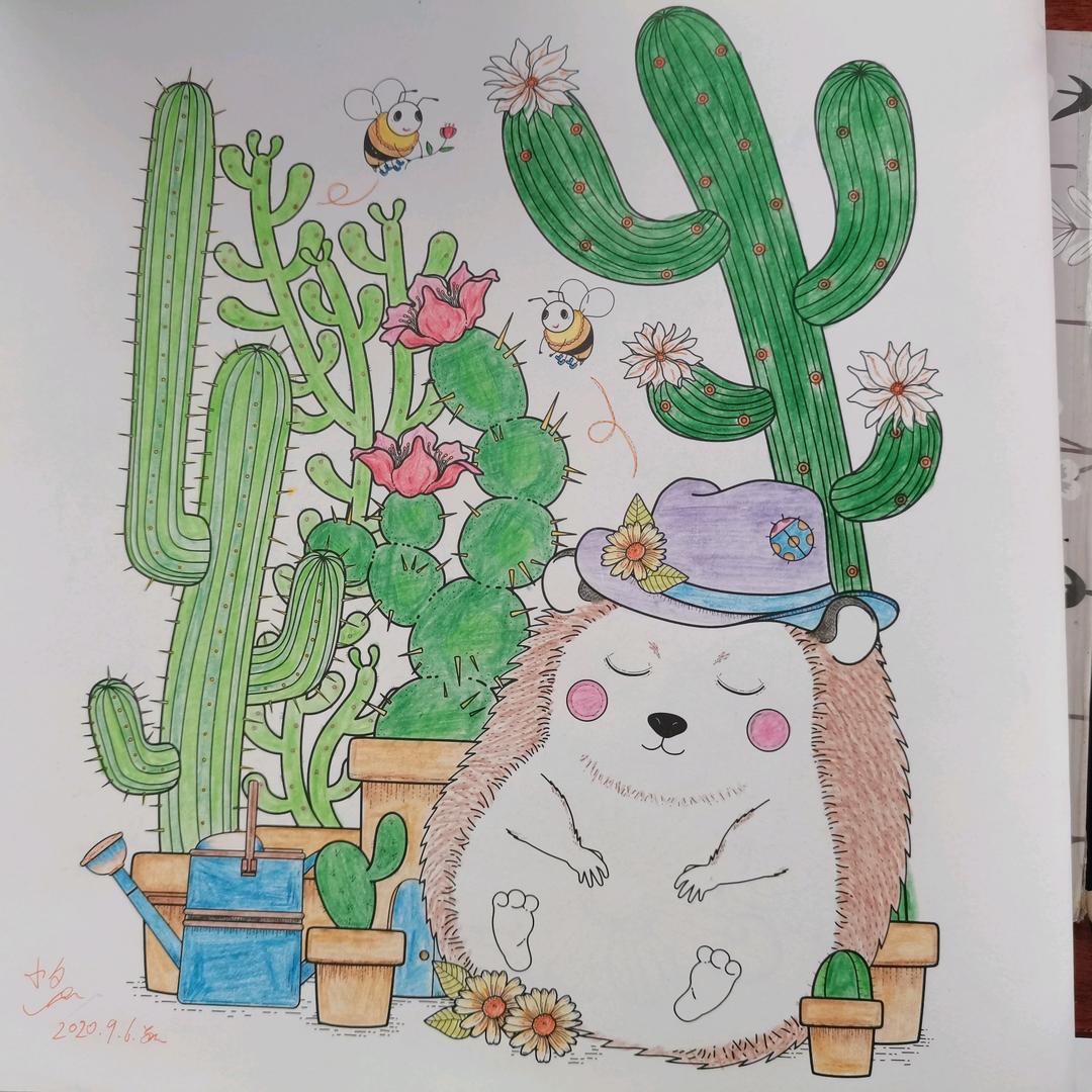 银河追星计划🌍