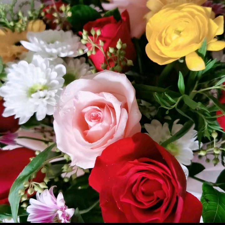 ꧔℘💞᪲删除᭄ᩚ꯭ᩚ💙记忆💞 ᭄