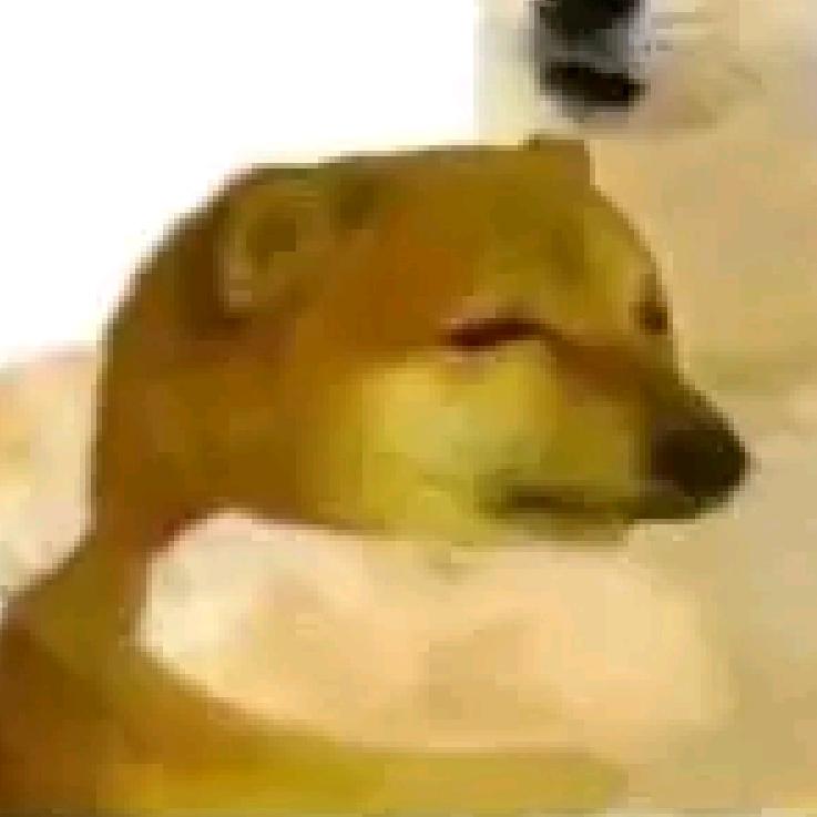 6厉不厉害你坤哥