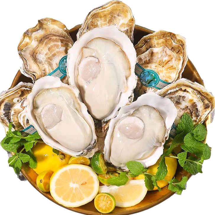 阿东生鲜店（生蚝季）