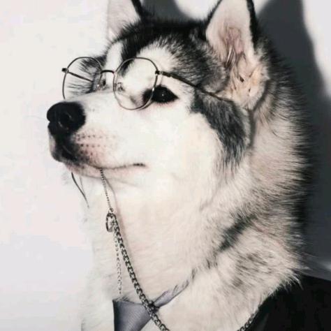 ⸜₍๑•⌔•๑₎⸝丁禹兮