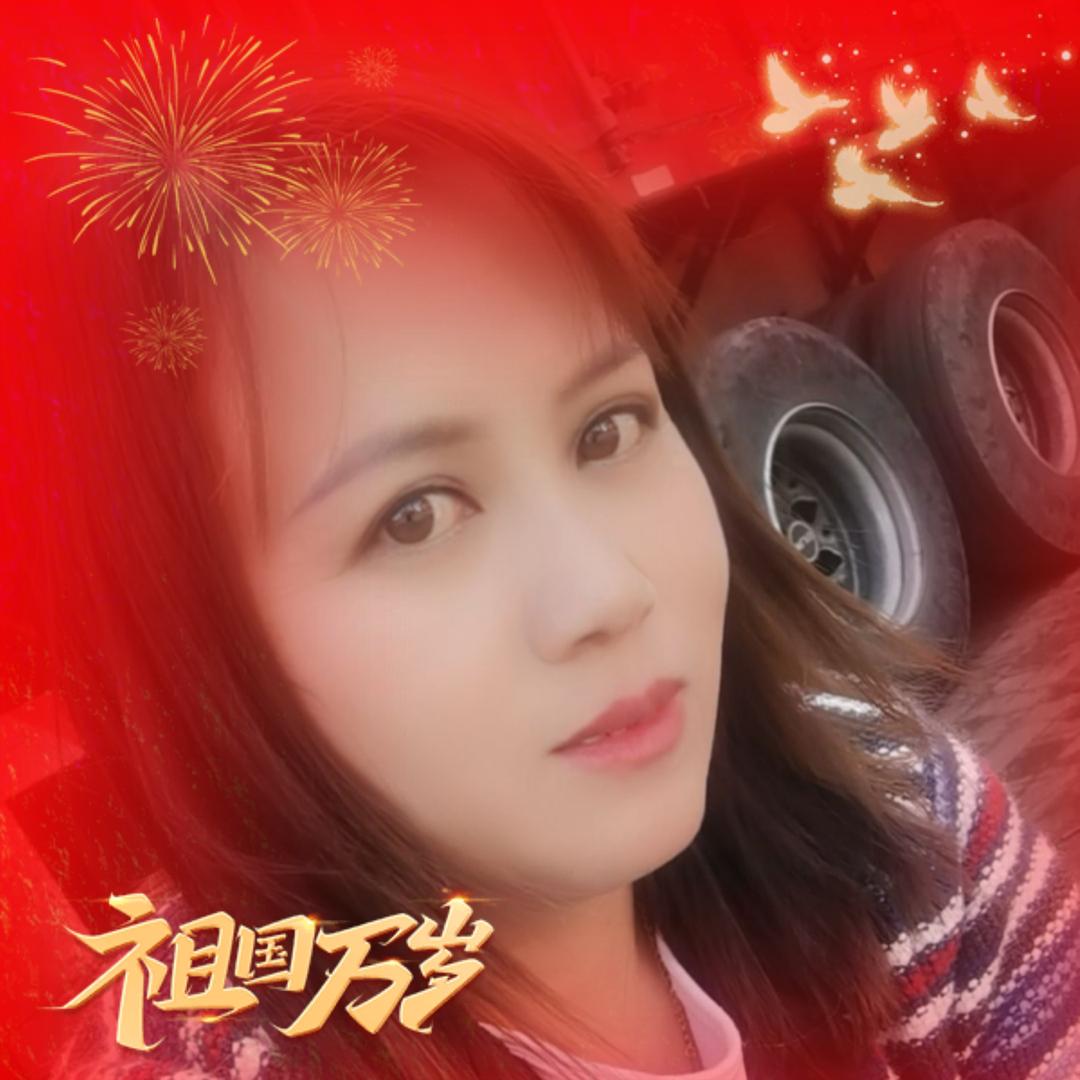 凤舞九天2099