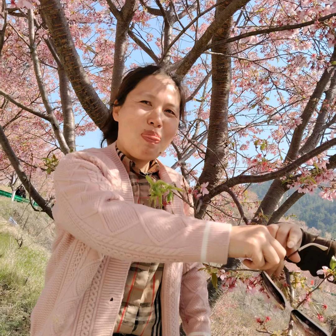 天宇阁珑映窗帘(温泉镇店)