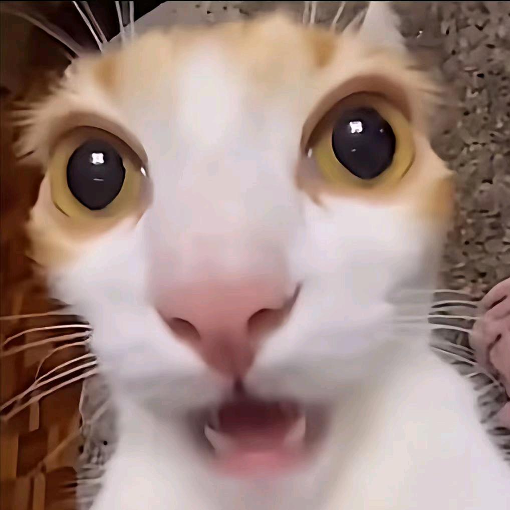 白牙