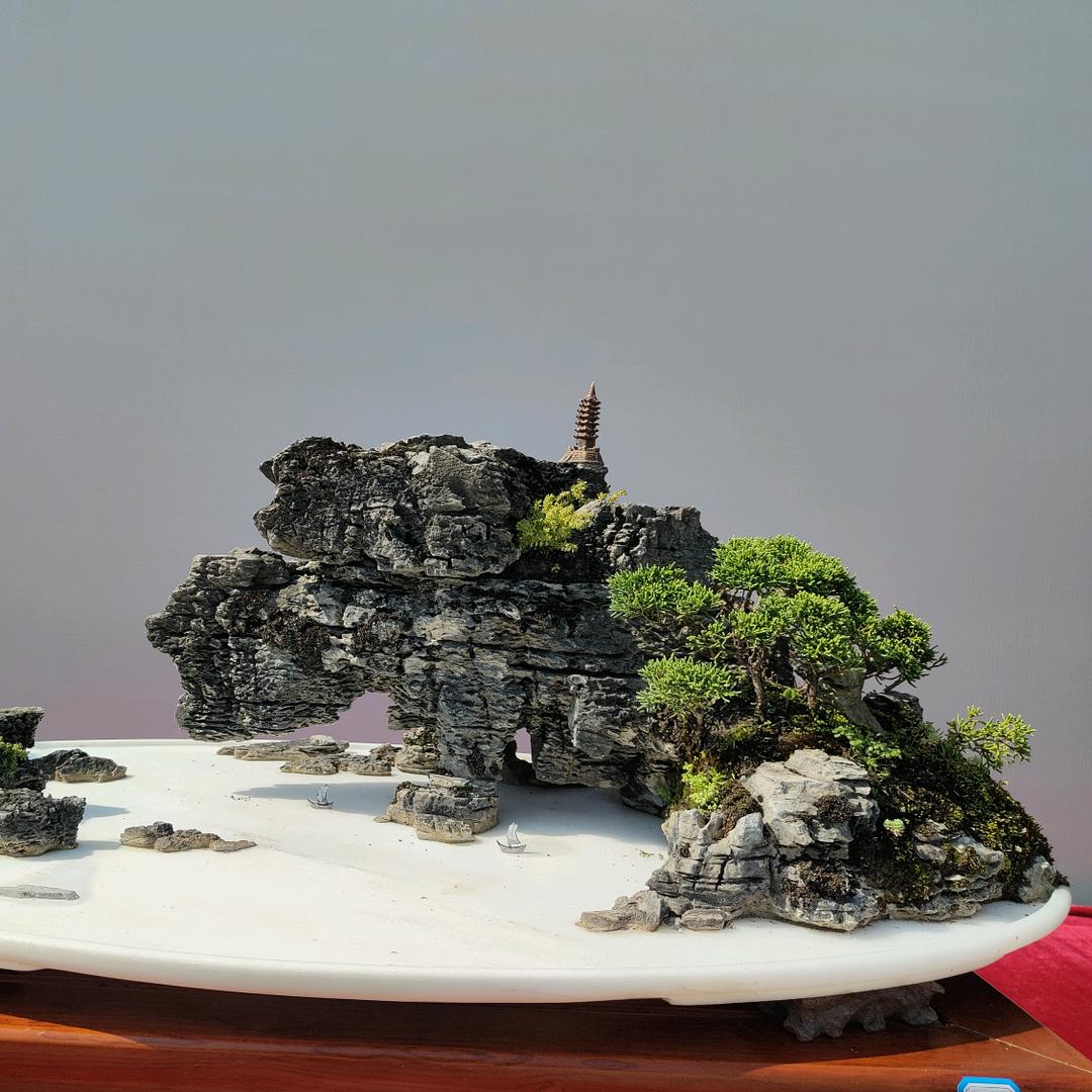 爽亮视界