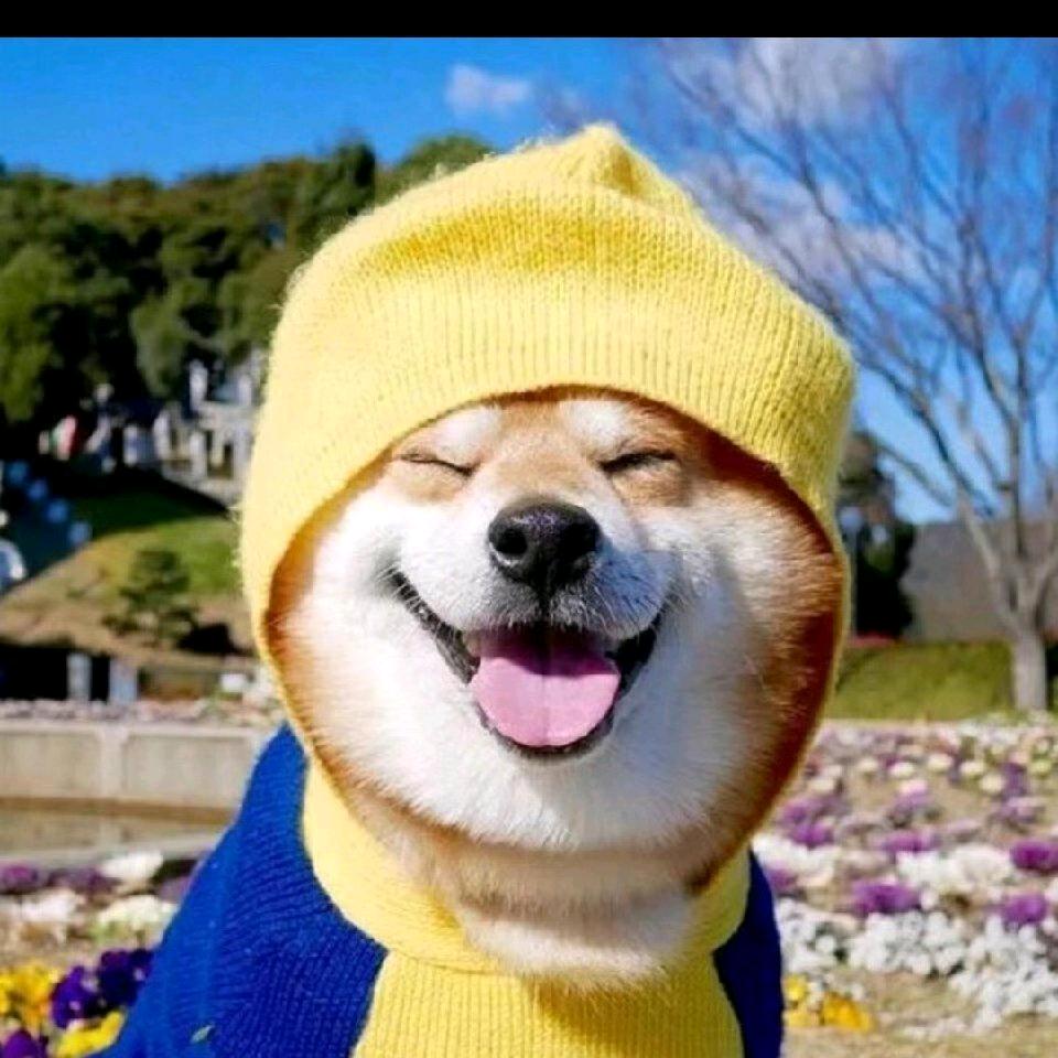 A防火门 防火窗 制造商