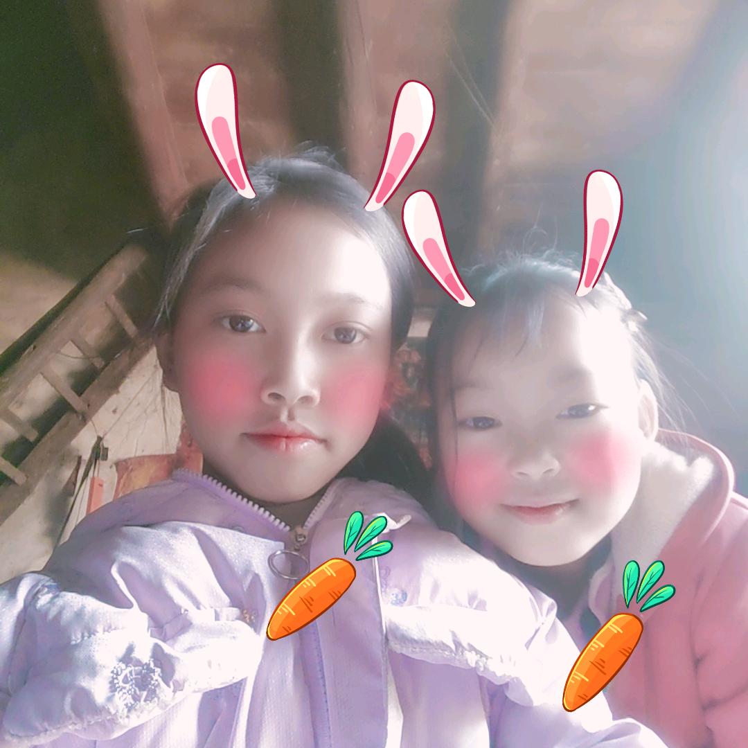 碰花碰草别碰情