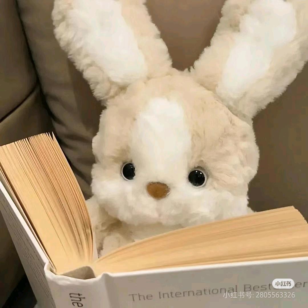 只想要简单的幸福