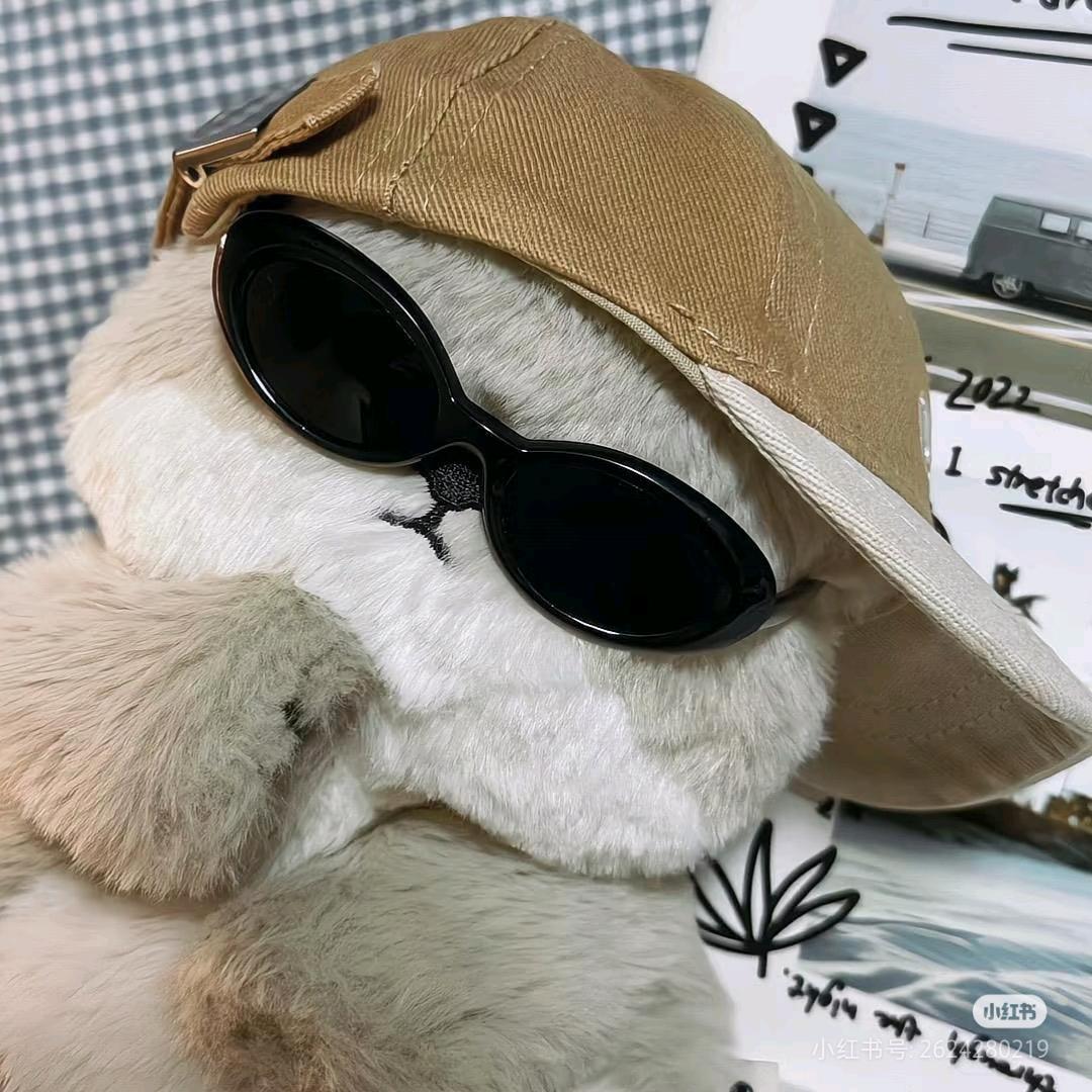 池鱼🐇