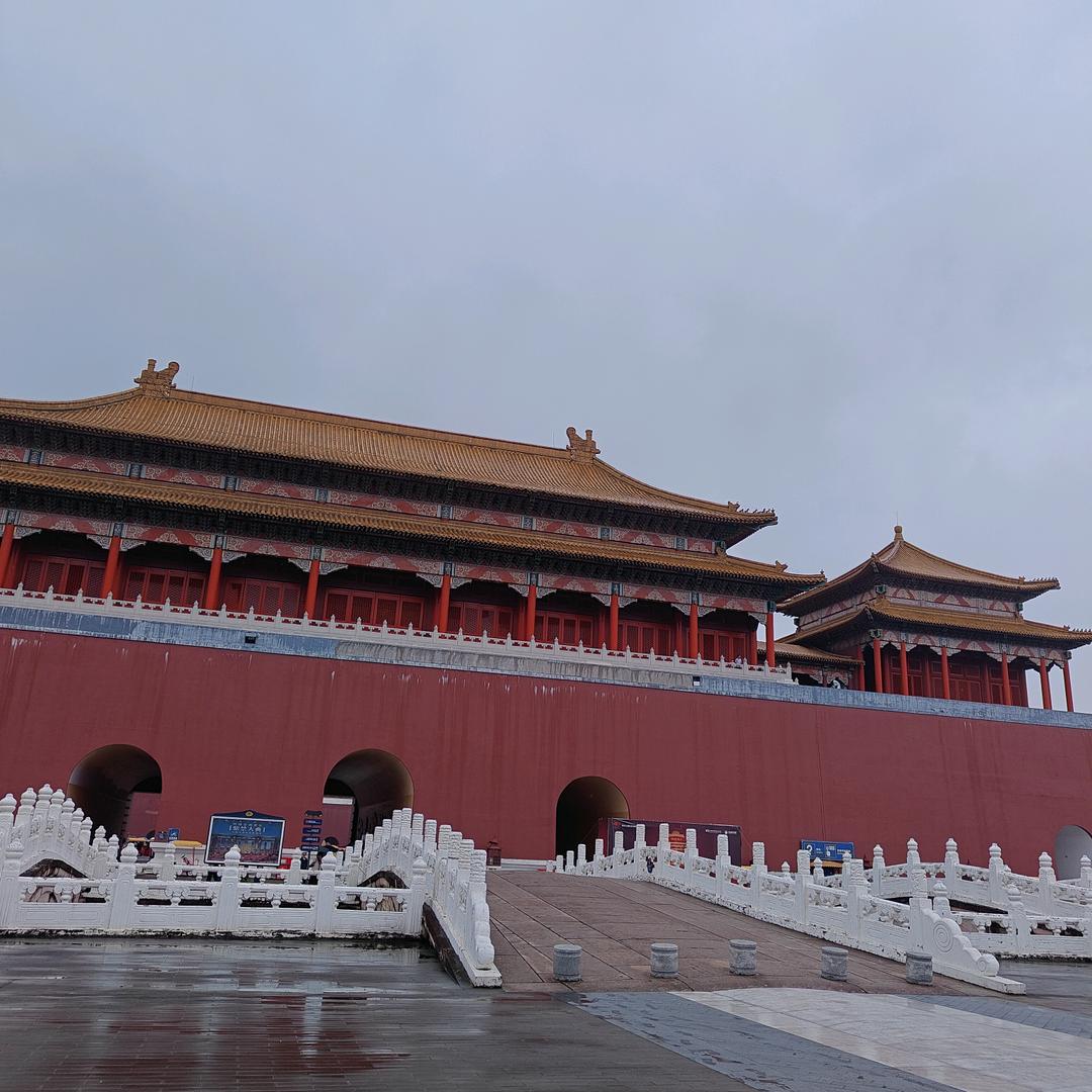 小琴