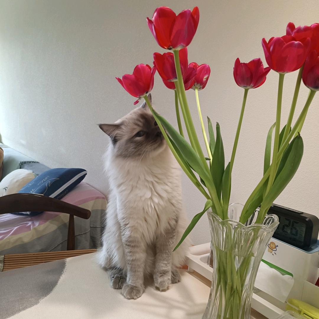 🍏雨含思念⁹²⁸