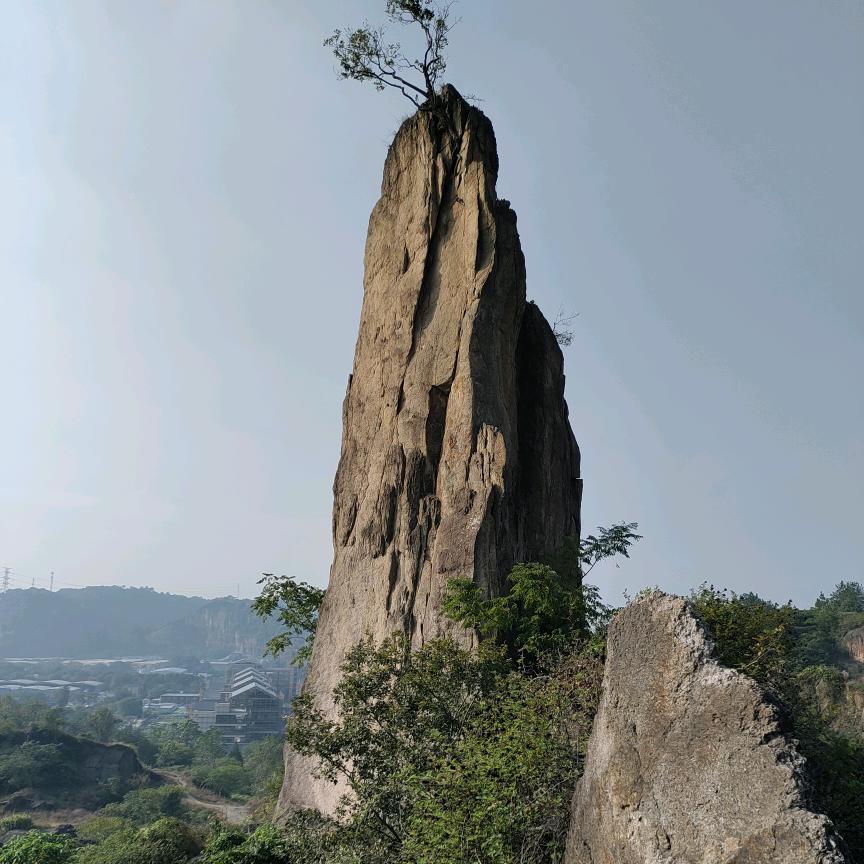 太极