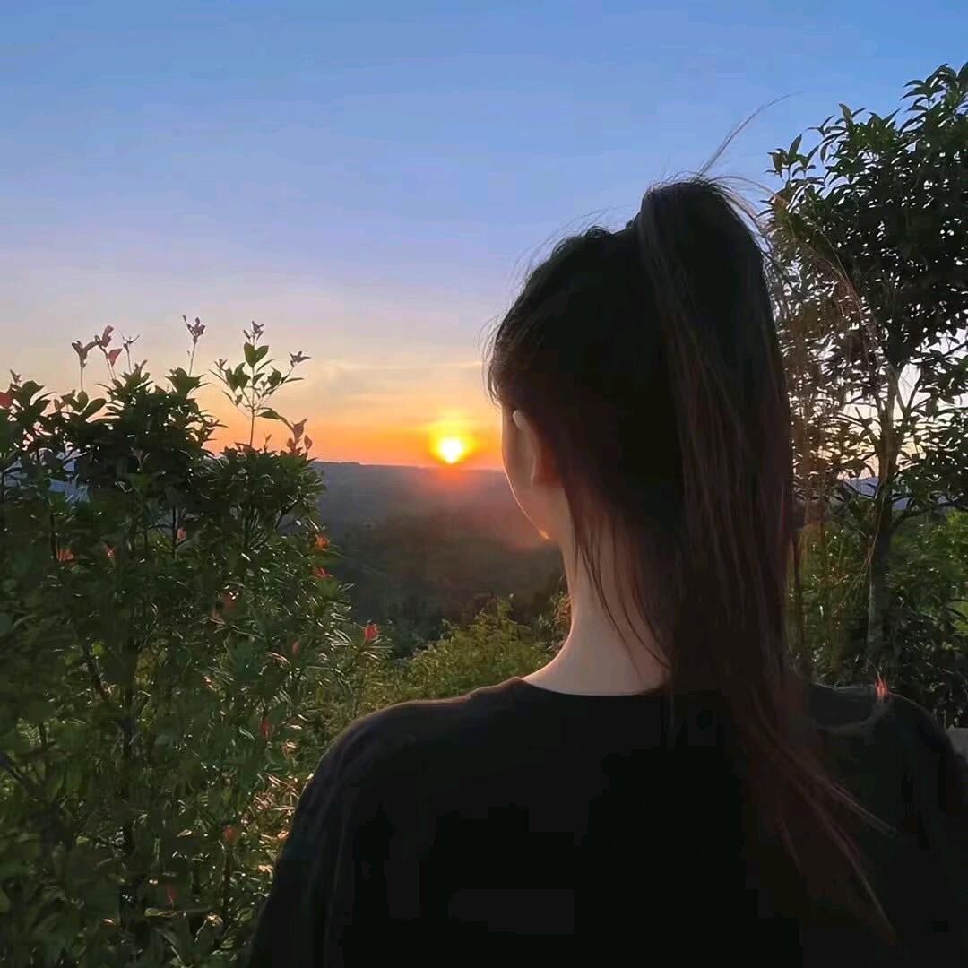 妞妞梅