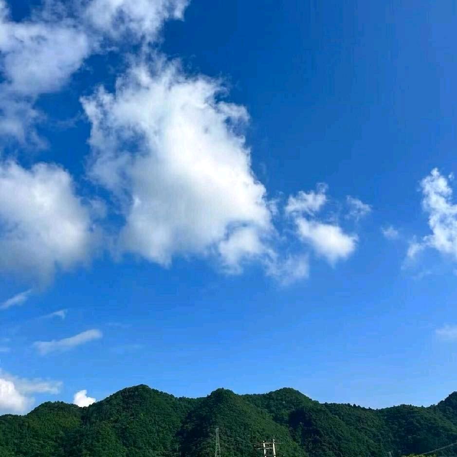 慧静
