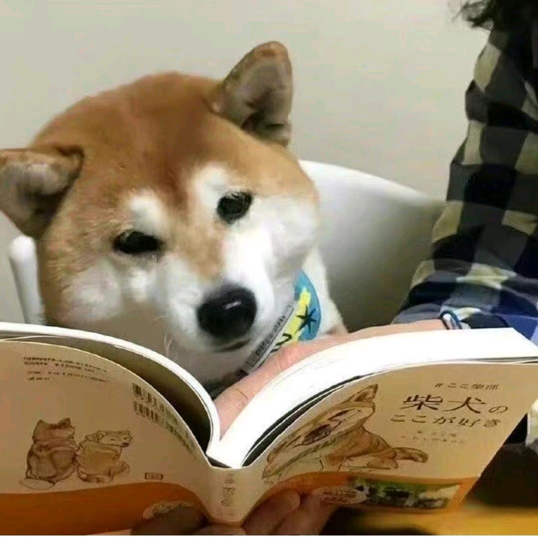 琼诗百货店
